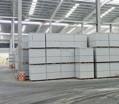 ����ש����