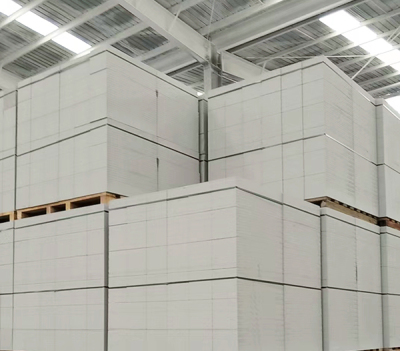 ����ש����